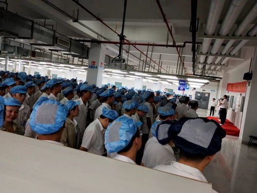 ap直招內介頒獎大會