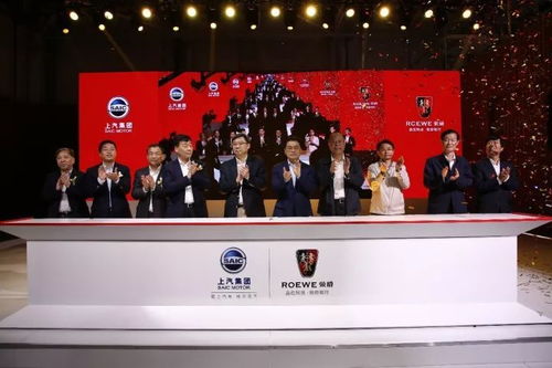 自主的崛起,必定撬動整個國內市場