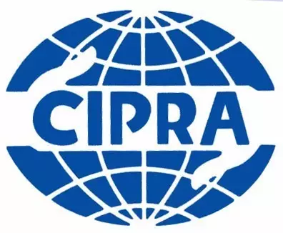 鏊投新媒體集團(tuán)旗下甜橙創(chuàng)新躋身中國(guó)公關(guān)業(yè)30強(qiáng)